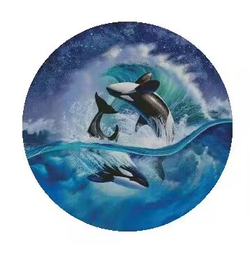 Embroidery Whale - Belo kit de baleia de costura